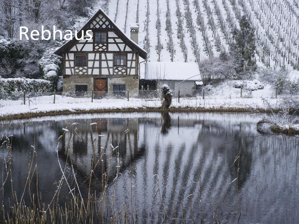 Kartause Ittingen Hotel Warth-Weiningen Exterior photo